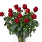 Bouquet di 12 Rose rosse gambo lungo senza verde decorativo